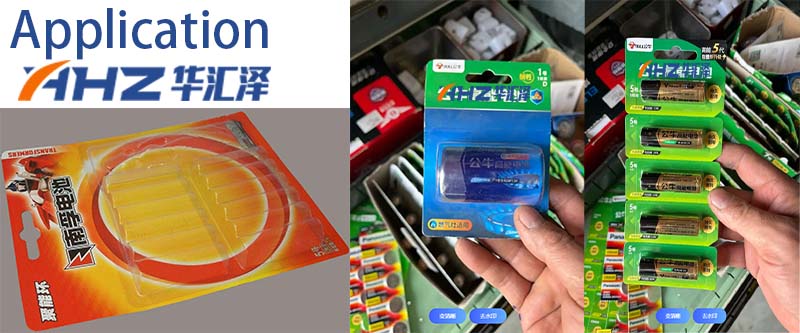 Automatic blister packaging machine application